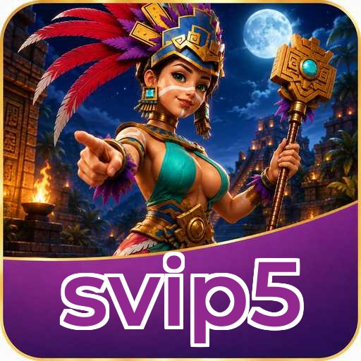 svip5 APK Structure